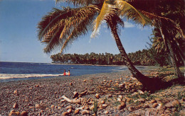 POLYNÉSIE - Plage De Papenoo - Ed. Sounam 16363 - Polynésie Française