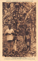 TOGO - Exposition Agricole De Palimé - Cacaos Et Cannes à Sucre - Ed. Missions Africaines 8 - Togo