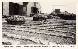 Canada - PASPEBIAC (QC) Morue Sur La Plage - Drying And Pressing Codfish - Ed. G.F. 67 - Altri & Non Classificati