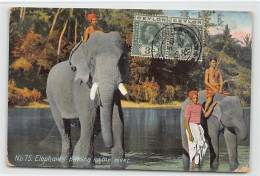 Sri Lanka - Elephants Bathing In The River - Publ. The Colombo Apothecaries 75 - Sri Lanka (Ceylon)