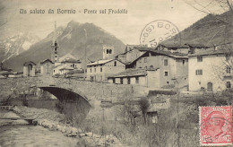 BORMIO (SO) Ponte Sul Frodolfo - Altri & Non Classificati