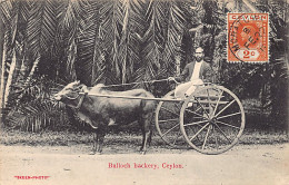 SRI LANKA - Bullock Hackery - Publ. Skeen-Photo  - Sri Lanka (Ceylon)