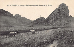 Viet Nam - LANGSON - Buffles Au Labour Près Des Rochers De Ky-Lua - Ed. P. Dieul - Viêt-Nam