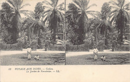 Sri Lanka - Peradeniya Gardens - STEREO POSTCARD - Publ. LL Levy 11 - Sri Lanka (Ceylon)