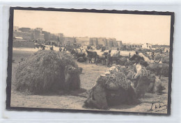 Tunisie - SFAX - Méharis Chargés D'alfa - CARTE PHOTO Année 1929 - Ed. Inconnu - Tunesien