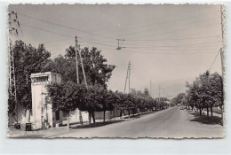 Algérie - LA CHIFFA - La Grande Rue - Ed. Hadj Idriss 8 - Altri & Non Classificati