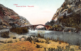 Liban - Fleuve Du Chien - Vieux Pont - Ed. André Terzis & Fils  - Lebanon