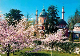 72693018 Schwetzingen Schlossgarten Moschee Baumbluete Schwetzingen - Schwetzingen