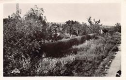 LOURMEL El Amria - Jardin Public - Ed. EPA 4 - Autres & Non Classés