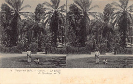 Sri Lanka - PERADENYA - The Garden - STEREO POSTCARD - Publ. LL Levy 11 - Sri Lanka (Ceilán)