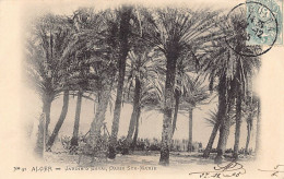 ALGER - Jardin D'Essai, Oasis Sainte-Marie - Ed. Vollenweider 91 - Alger