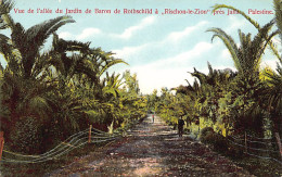 Israel - RISHON LEZION - View Of The Alley In The Baron De Rothschild Garden - Publ. La Palestine Moderne 41 - Israël