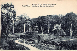 Sri Lanka - COLOMBO - Alleys Of The Botanical Garden - Publ. H. Grimaud (no Imprint)  - Sri Lanka (Ceylon)