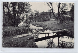 Belgique - RENDEUX (Prov. Lux.) Vallée De L'Ourthe - Passerelle - Rendeux