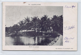 GUADELOUPE - Forêt De Cocotiers - Ed. Pierrefort  - Autres & Non Classés