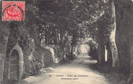 Jersey - Vinchelez Lane - Publ. Unknown 53 - Otros & Sin Clasificación