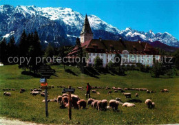 72692307 Elmau Schloss Mit Wettersteingebirge Schafherde Elmau - Altri & Non Classificati