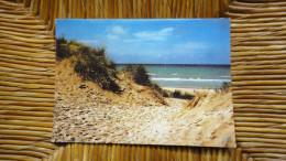 Dunes , Plages , Mer , Soleil , Plaisirs De L'été - Autres & Non Classés