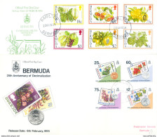 Annata Completa FDC 1995. - Bermuda