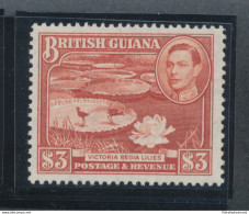 1938-52 BRITISH GUIANA - Stanley Gibbons N. 319 - MNH** - Otros & Sin Clasificación