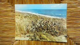 France , Bord De Mer - Autres & Non Classés