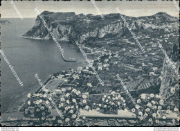 Br213 Cartolina Capri Panorama E Porto Provincia Di Napoli Campania - Napoli (Napels)