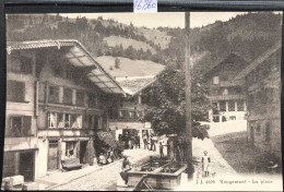 Rougemont (Vaud) - La Place, Sa Fontaine Et Son Arbre - Hommes Devant Le Chalet De La Poste (16'860) - Rougemont