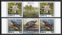 Serbia 2024 Europa CEPT Underwater Fauna & Flora Flower Nymphaea Alba Turtle Emys Orbicularis Middle Row MNH - Serbien