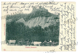 RO 47 - 11672 Cetatea NEAMTULUI, Romania, Ox Carts - Old Postcard - Used - 1902 - Romania