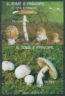 Sao Tomé Und Príncipe 1992 Pilze Pantherpilz Block 283/84 Gestempelt (C27063) - Sao Tome En Principe