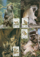 St. Kitts 1986 WWF Meerkatzen 184/87 Maximumkarten (X30647) - St.Kitts Y Nevis ( 1983-...)