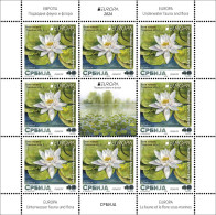 Serbia 2024 Europa CEPT Underwater Fauna & Flora Flower Nymphaea Alba Turtle Emys Orbicularis Mini Sheet MNH - Servië