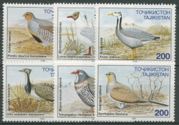 Tadschikistan 1996 Tiere Vögel Huhn Gans Möwe 80/85 Postfrisch - Tagikistan