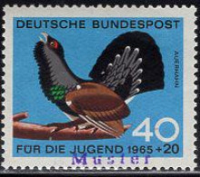 GERMANY(1965) Capercaille. MUSTER (specimen) Overprint. Scott No B407. - Andere & Zonder Classificatie