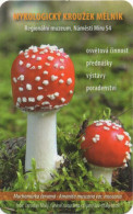 Amanita Muscaria, Mushrooms, MK Mělník, Czech Rep., 2015, 65 X 85 Mm - Petit Format : 2001-...