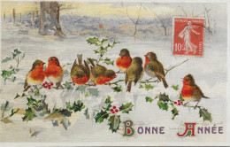 CP- BONNE ANNÉE - Petits Oiseaux Au Plumage Rougeâtre- ( Écrit En 5 Janvier 1913 ) - Aveiro
