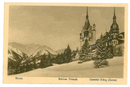 RO 47 - 1183 SINAIA, Castelul PELES ( Iarna ) Romania - Old Postcard - Unused - Rumänien