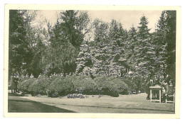 RO 47 - 1851 TIMISOARA, Romania, High School, Park, Romania - Old Postcard - Unused - Roumanie