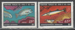 Afar E Issa 1977 - Pesci          (g9681) - Fishes