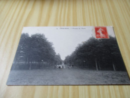 CPA Gros-Bois (94).L'Avenue De L'Etoile - Carte Animée. - Autres & Non Classés