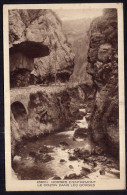 France - Chartreuse - Gorges D'Entremont - Le Cozon Dans Les Gorges - Chartreuse