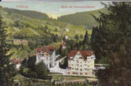 AK Triberg - Blick Auf Schwarzwaldhotel - Bahnpost Hagen-Betzdorf - 1913 (69441) - Triberg