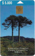 Chile - Telefónica - Araucarias Gemelas Parque (2nd Issue), Gem1B Not Symm.White/Gold, 12.1999, 5.000Cp$, 20.000ex, Used - Cile