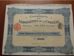 FRANCE - 19 - CORREZE - ARDOISIERES DE LA CORREZE - ACTION ORDINAIRE DE 100 FRS  - PARIS 1911 - Andere & Zonder Classificatie