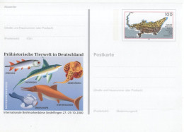 Germany Deutschland 2000 Briefmarkenborse Sindelfingen, Prahistorische Tierwelt, Prehistoric Wildlife, Fish Fishes Fisch - Postcards - Mint