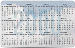 Qatar - Q-Tel - Autelca - Calendar, 2000, 30QR, Used - Qatar