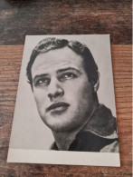 Postcard - Marlon Brando   (V 38098) - Actors