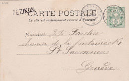 ZEZIKON, Stabstempel Auf Ansichtskarte / Cachet Linéaire Sur Carte Postale - Postmark Collection