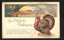 Präge-AK Good Wishes For Thanksgiving, Truthahn Und Landschaftsbild  - Sonstige & Ohne Zuordnung