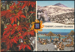 °°° 31024 - SPAIN - TENERIFE - CANARY ISLANDS °°° - Tenerife